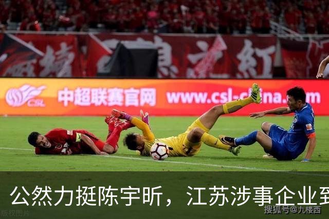 公然力挺陈宇昕，江苏涉事企业到底图个啥