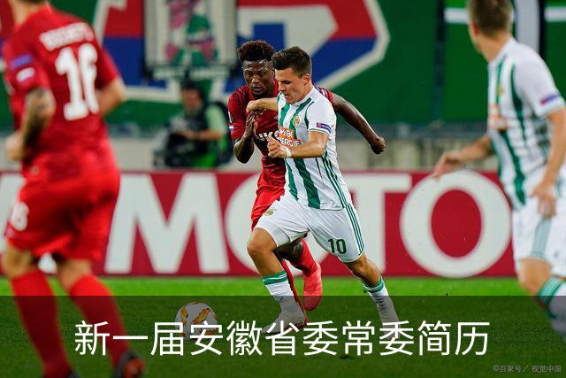 新一届安徽省委常委简历